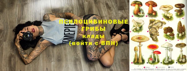 стафф Баксан