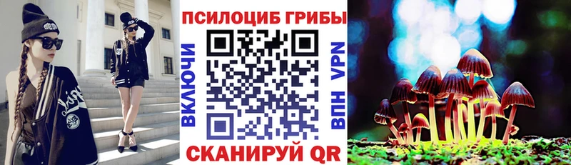 darknet телеграм  Петрозаводск  Псилоцибиновые грибы Psilocybine cubensis 